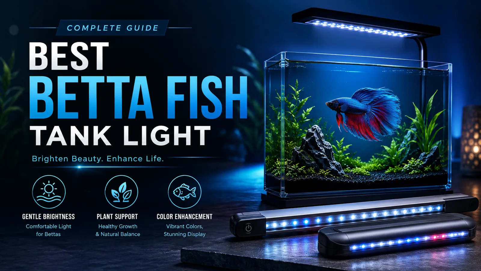 Best Betta Fish Tank Light — AquaGearLab guide